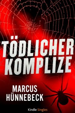 Tödlicher Komplize - Hünnebeck - Thriller